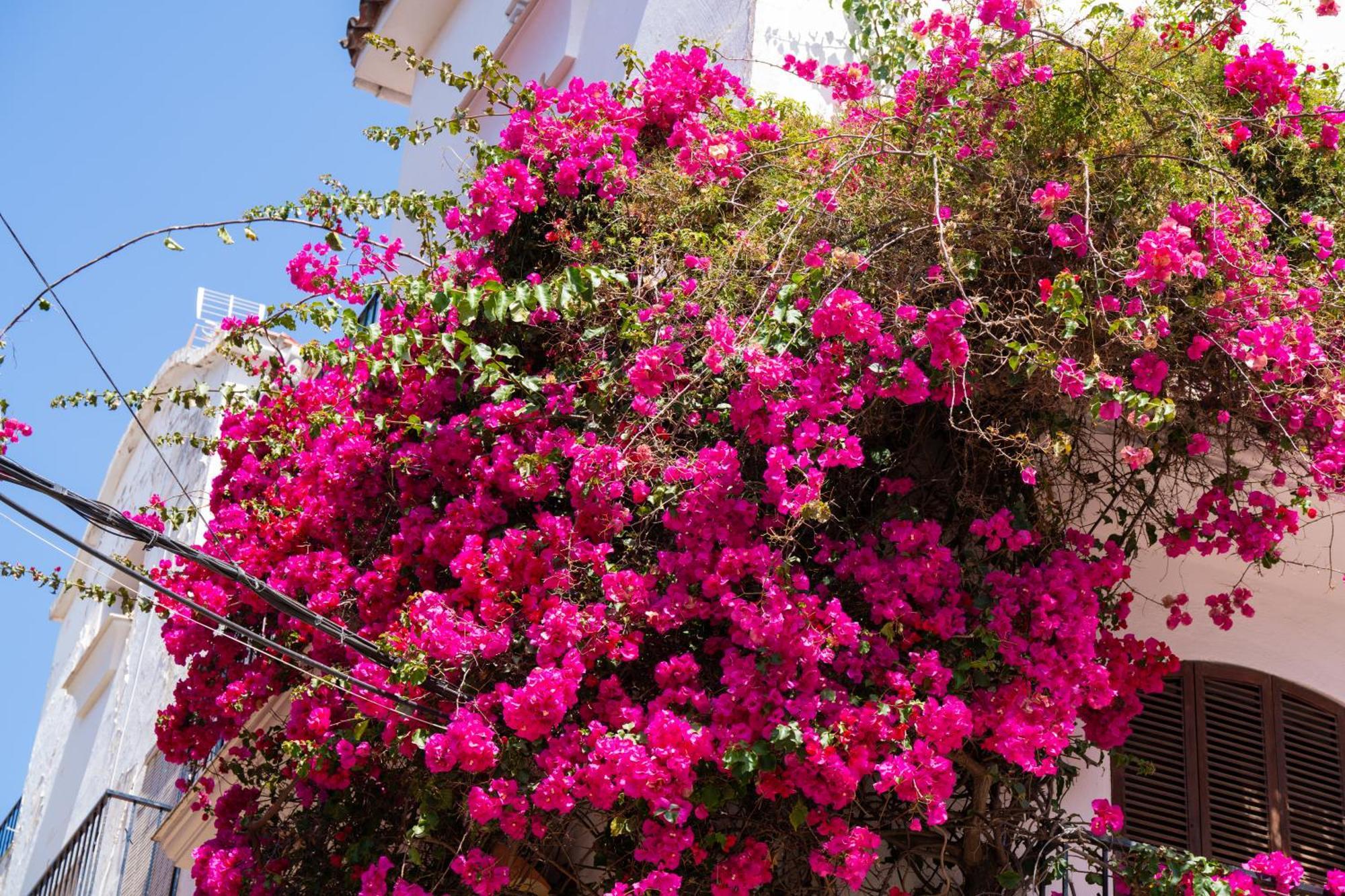 Marbella Luxury Duplex 106 Close To The Beach Eksteriør bilde