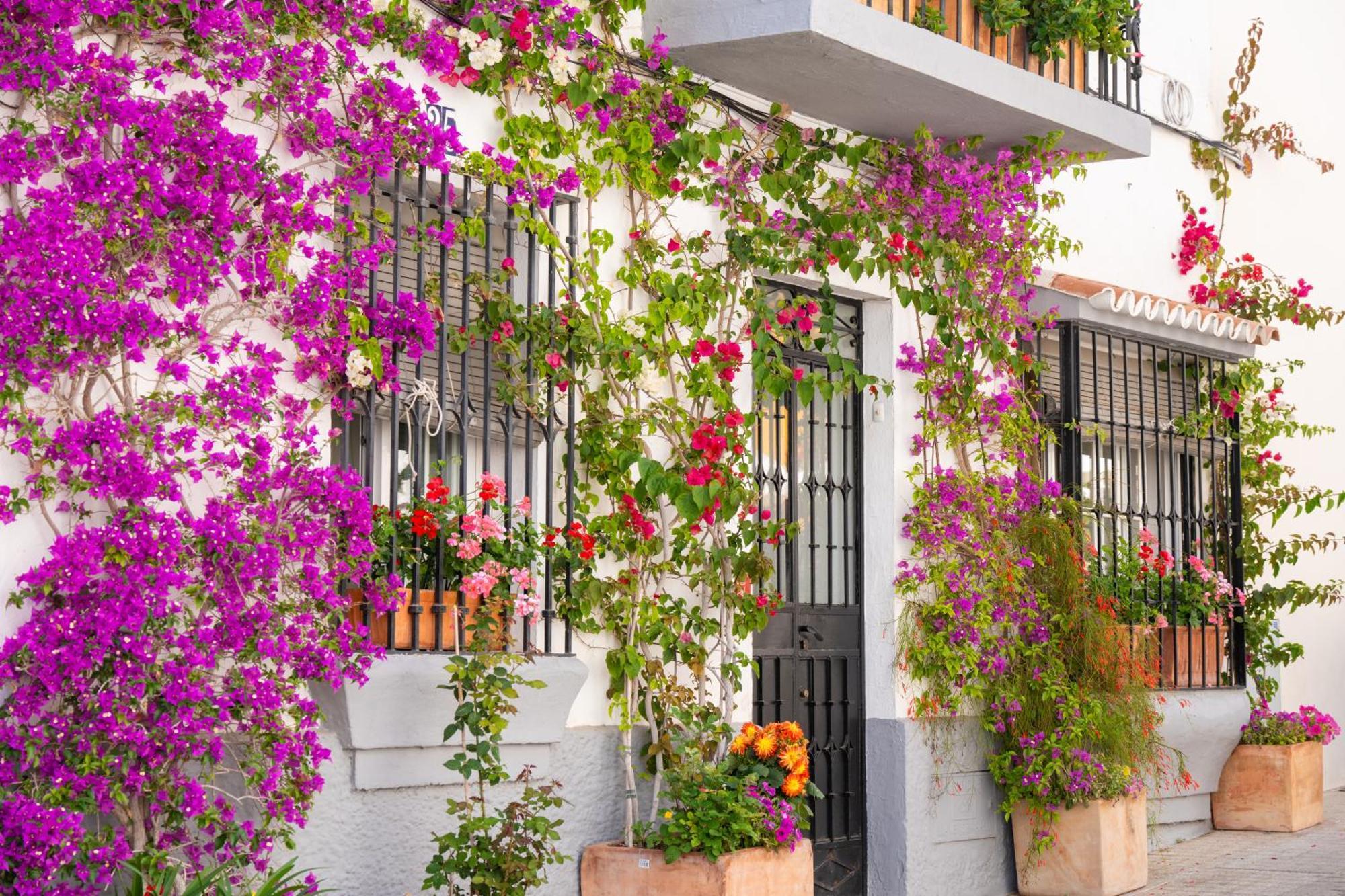 Marbella Luxury Duplex 106 Close To The Beach Eksteriør bilde